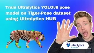 Train Ultralytics YOLOv8 Pose Model on Tiger-Pose Dataset Using Ultralytics HUB | Episode 17
