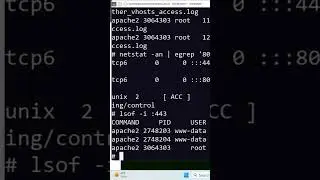Linux Use ‘lsof -i :443’  to see LSOF for Secure port 443 (https)