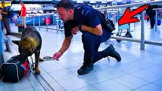 The dog suddenly rushed towards the suitcase. When they opened it, the police started crying!