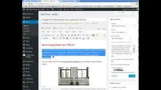 How to Use TinyMCE Advanced