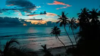 🔴 Relaxing Music 24/7, Stress Relief Music, Sleep Music, Meditation Music, Study, Calming Music