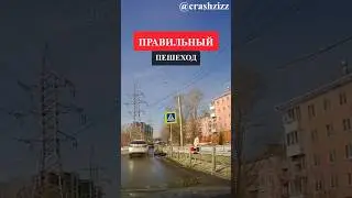 Правильный пешеход! 👍