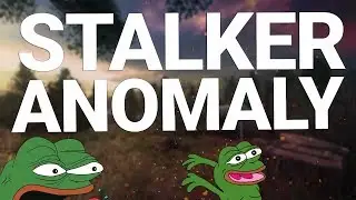 S.T.A.L.K.E.R Anomaly - Прохождение #1