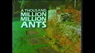 A Thousand Million Million Ants (1985) [Documentary]