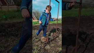 Копалка для огорода сильно помогает #shorts