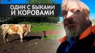 ТУТ ОДНИ БОБРЫ И БОЛОТО. Орловская область; д.Кулешовка
