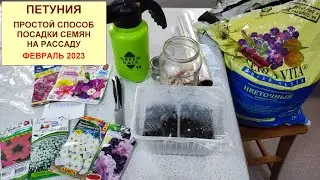 #Петуния