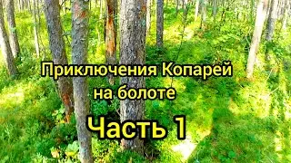 Едем КОПАТЬ в болота на велосипедах. часть 1