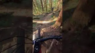 Trying to keep up!