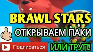 BRAWL STARS ОТКРЫВАЕМ ПАКИ,ЧТО ЖЕ МНЕ УПАДЕТ!?
