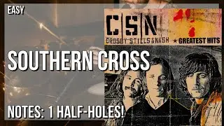 How to play Southern Cross by Crosby Stills & Nash on Tin Whistle (Tutorial)