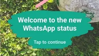 WhatsApp Status