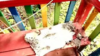 ОТБУХАЙТЕ С НАМИ !  (б/о 
