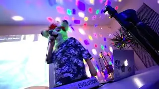 furry house party energy
