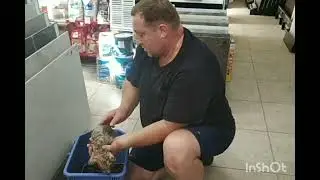 Богатырь спасает Щенка.
