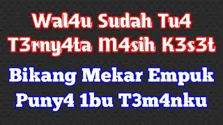 Kisah Nyata Bi Ida Yang Merawatku Dengan Baik || Cerpen Romantis