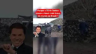 SILVIO SANTOS TROUXE O TOURO MAIS BRAVO DO MUNDO AO BRASIL?