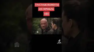 грустные моменты((( сериал пёс из тик тока