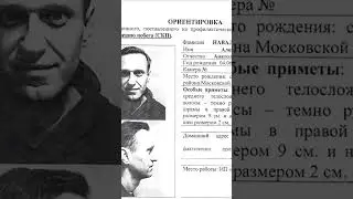 Про Навального