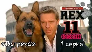 Комиссар Рекс, 11 сезон, 1 серия «Встреча»