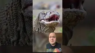 Eww Brother Eww