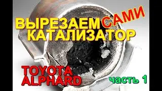 Пошагово удаляем катализаторы с Тойота. За сколько продал катализаторы? Что необходимо?
