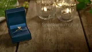 spectrum mobile, the proposal