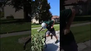 This Chore Warrior battery powered Wheelbarrow is insanely strong 💪  Chore Warrior 