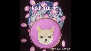 HOKK - Hokkaidu Inu coin animation