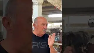 Krowa doi się pyskiem