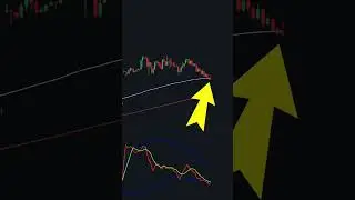 This Indicator Made $1.000.000