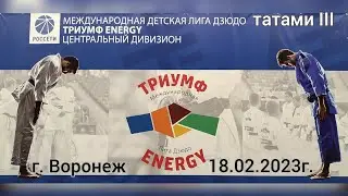 Международная детская лига дзюдо центральный дивизион 1й тур 2й этап г. Воронеж 18.02.2023г.