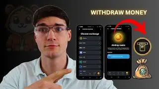 How To Withdraw Money From Hamster Kombat Quick Guide 2024