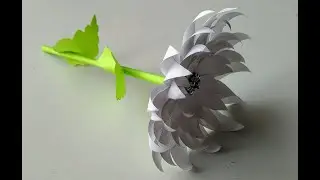 Акция Белый цветок