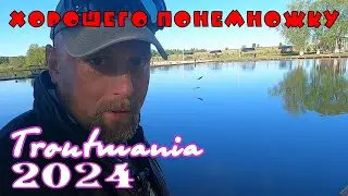 Troutmania 2024. Хорошего понемножку