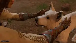 Talking to Scratch the Dog in Baldur's Gate 3 if you Rescue Him