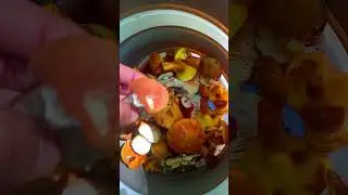 Грибное Месиво #грибы #тихаяохота #белыегрибы