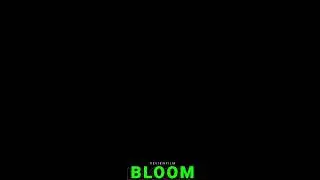 REVIEW FILM BLOOM SAAT ORANG MATI MENJADI BUNGA