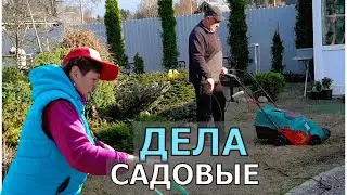 Лейка в теплице больше не нужна. Уход за газоном. Не все хорошо с хвойными. Обработка в саду