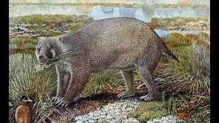 Discovery of extinct giant wombat in Australian desert