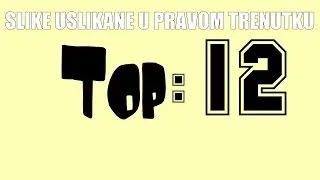 TOP 12  (slika uslikanih u bravom trenutku) !!!!!!!!!!!!!!!!