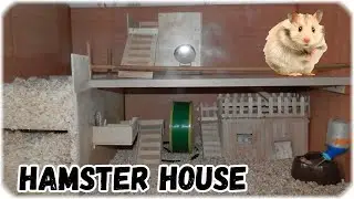 A grand move of a hamster to a new house. House hamster own hands