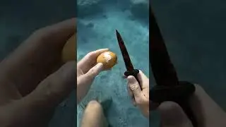 Diver cracks egg 6 ft deep underwater 