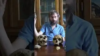 Зачем нужна теменная доля мозга – Станислав Дробышевский 
