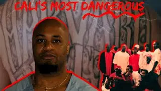 The most FEARED, RUTHLESS and HATED brim gang of them all! | Who are the Harvard Park Brims?