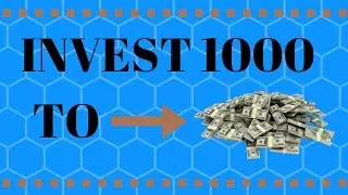 How To Invest 1000 Dollars l Investing For Beginners