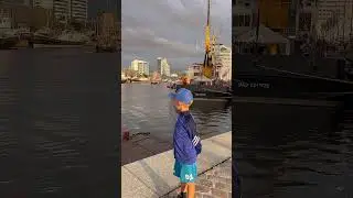Maritime Tage Дни моря в Bremerhaven 2024 #shorts #германия#рекомендации#рек#реки#путешествия