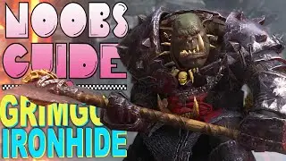 NOOB'S GUIDE TO GRIMGOR IRONHIDE