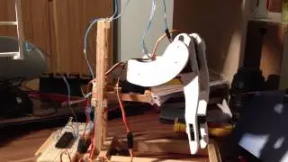 Hexapod Project-one leg trial