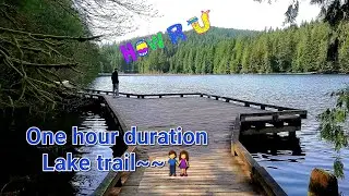 Lake Trail~~| My favorite comfortable trail~🌳1시간정도 소요되는 호수 트레일🌱🌿